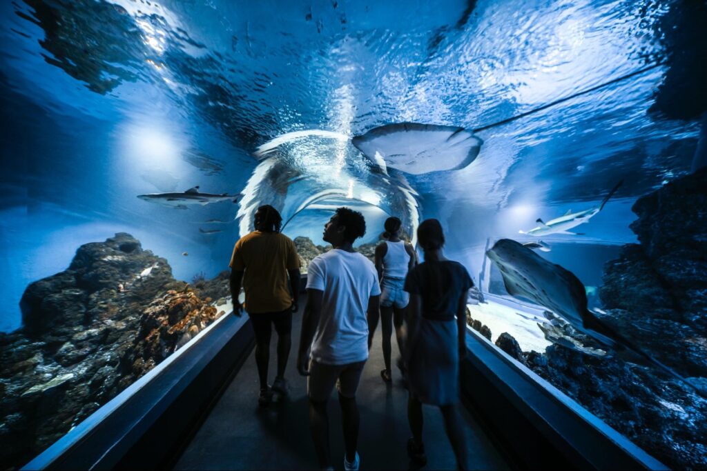 Cairns Aquarium