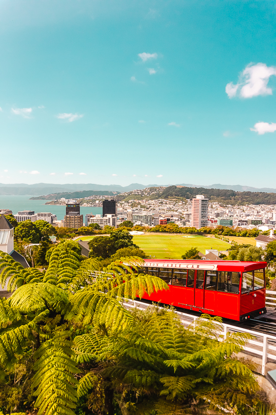 Red funicular car on tracks with green ferns in the foreground, overlooking a coastal city and ocean under a bright blue sky.