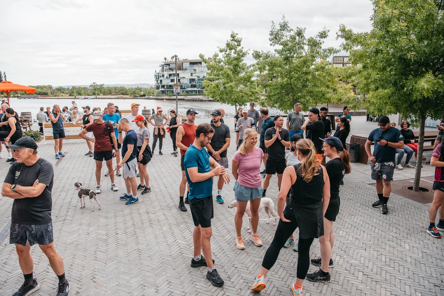 Sundown Meet and Greet event image